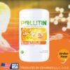 pollinal pollitin graminex pollen extract