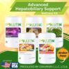 Advanced hepatobiliary support