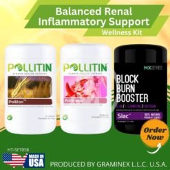 Balanced renal inflammatory support
