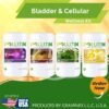 Bladder cellular wellness kit