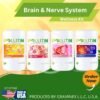 Brain nerve system wellness