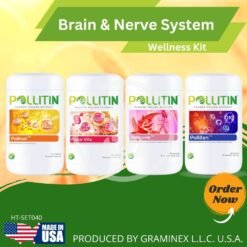 Brain nerve system wellness