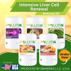 Intensive liver cell renewal