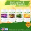 Men’s urinary cellular support