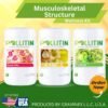 Musculoskeletal structure set