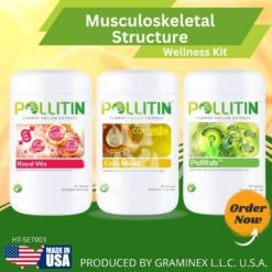 Musculoskeletal structure set