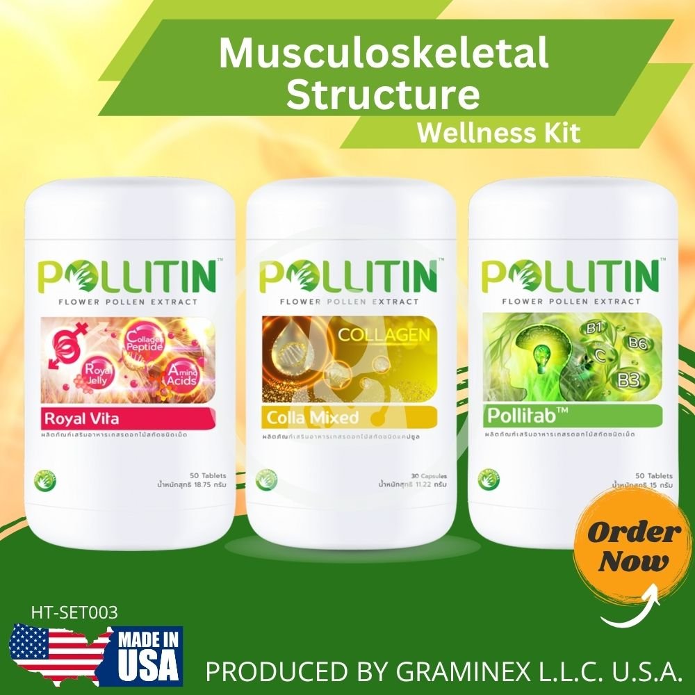 Musculoskeletal structure set