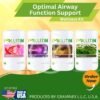 Optimal airway function support