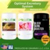 Optimal excretory system wellness