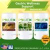 Gastric wellness support