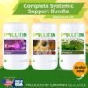 Complete systemic support bundle set 1
