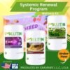 Systemic renewal program