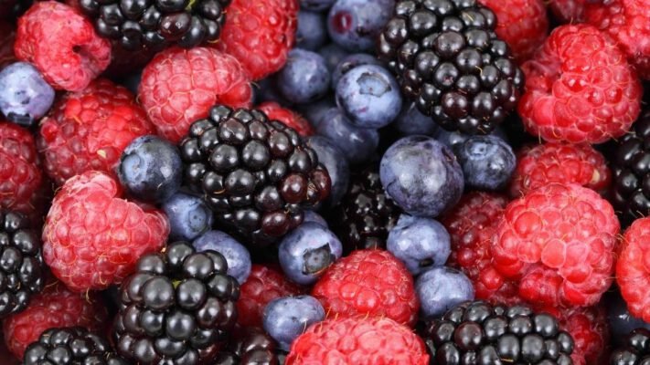 blueberry extract