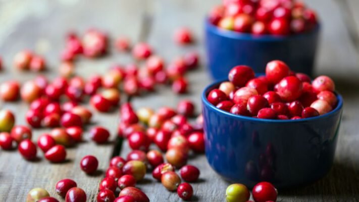 cranberry extract