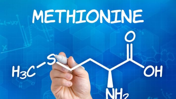 l methionine